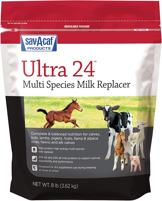Savacaf Grade A Ultra 24 Multi-Species Milk Replacer, 8 Pound Bag
