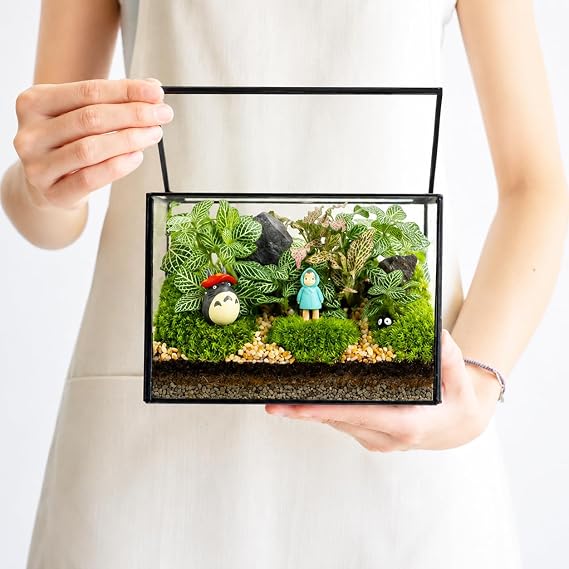 Small Glass Terrarium with Lid, Rectangle Geometric Planter Box, Clear Glass Container for Succulents, Moss, Air Plants, Ferns, Cactus, Tabletop Plant Display Decor, 6.7 x 3.9 x 4.7 in