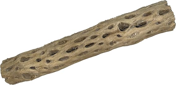 Awesome Aquatic XL Cholla Wood Tubes, Teddy Cane, 12" x 23" | XL Hideouts Hollow tubes Natural biofilm surface Secure hideouts Shrimp plecos hermit crabs reptiles Natural decor