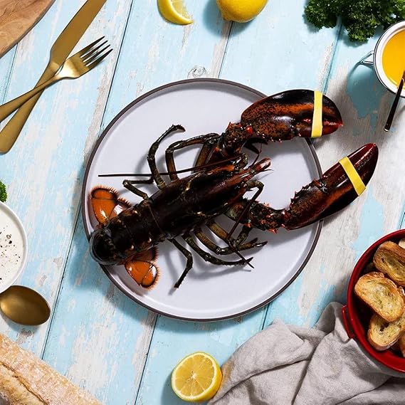 Maine Lobster Now: 1.5 lb Live Maine Lobster (8 Pack)