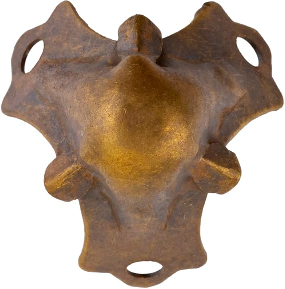Medium Antique Brass Plated Trunk Corner Protector | Furniture Corner Guard Hardware for Small Trunk, Jewelry Box, Musical Speaker | CK1-SAB (4)