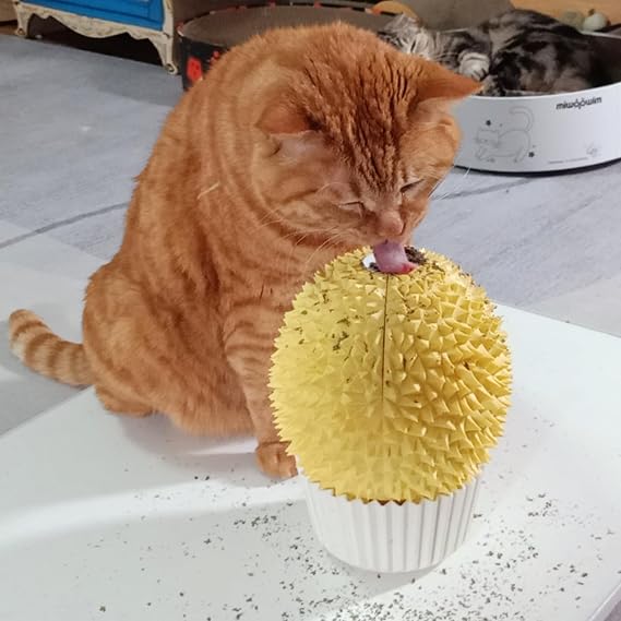 miwoowim Durian Catnip Feeder & Face Scratcher, Wall Corner Self Groomer