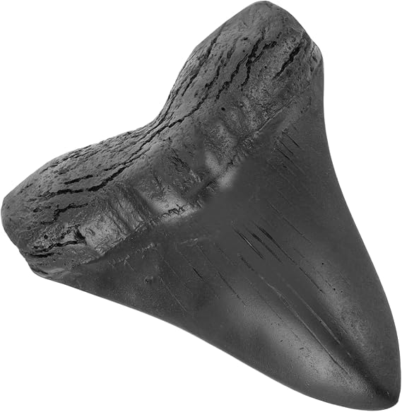 Garneck Megalodon Simulated Craft Giant Model Shark Tooth for Unique Home Decor Prehistoric Simulation Decoration for Collectors Great for Cosplay and Display