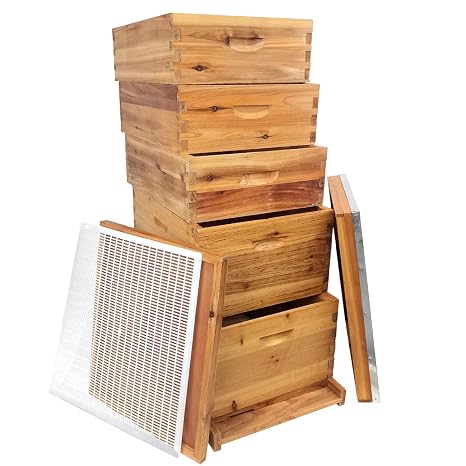 5-Layer Bee Hive, Beehive Kit Langstroth Bee Hive Coated