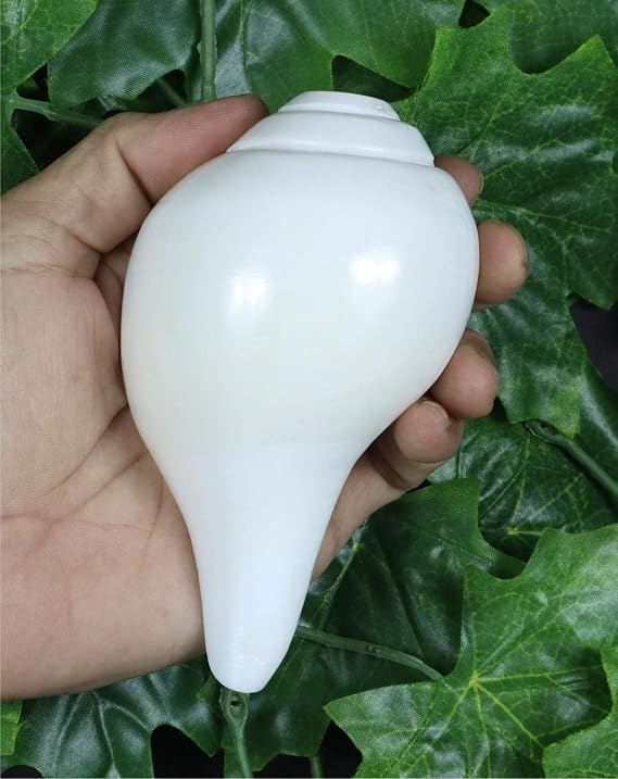 Pooja Shankh Blowing Shankh Vamavarti Dattatreya - Conch Shells - Puja Ritual - Plain Pooja Shankh - Shankhnaad (4.5 inches)
