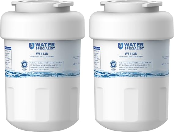 Waterspecialist WS613B Water Filter, Replacement for GE MWF, 2 Pack
