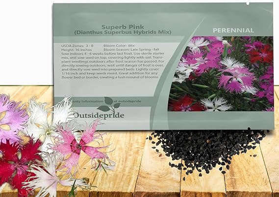 Outsidepride Superbus Mix Dianthus Seeds for Planting - 10000 Pcs Easy to Grow & Hardy Perennial Flower Seeds with Colorful & Fragrant Blooms, for Mixed Plantings, Containers, Pollinator Gardens