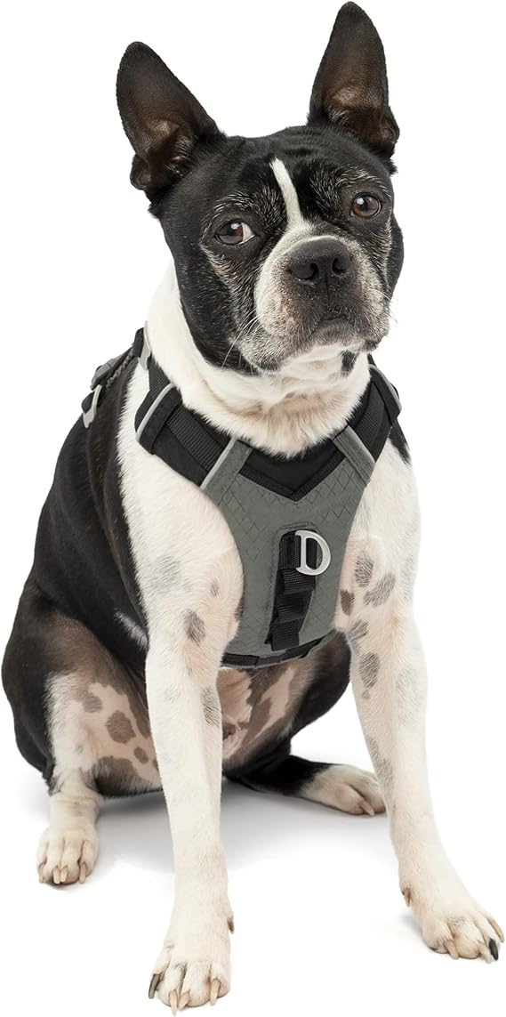 Kurgo Journey Air Dog Harness, Black, Extra Small | Padded Chest, Ripstop Outer & Breathable Mesh, Back Assist Handle, Rust-Free Aluminum Hardware, Reflective Trim