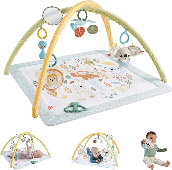 Fisher-Price Simply Senses Newborn Gym Tummy Time Toy