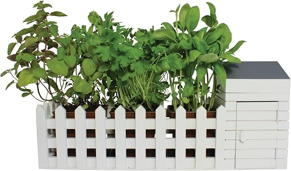 Oliphant Indoor Allotment Gift Set Herb Garden
