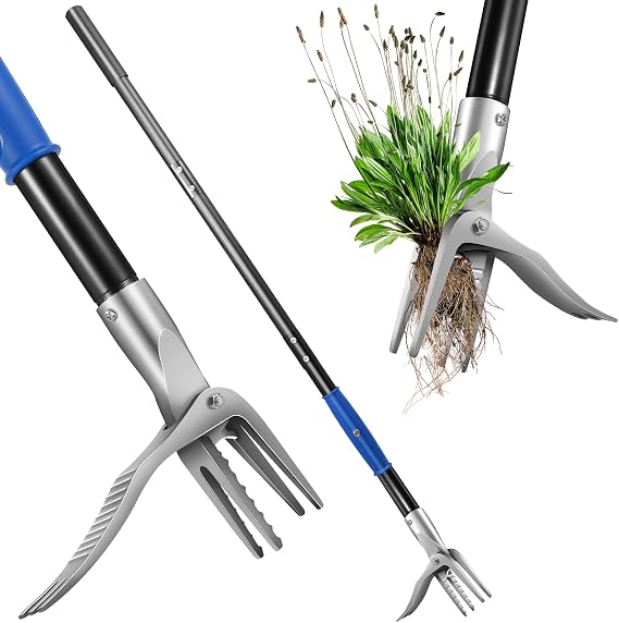 50 weed puller tool for Dandelion,Stand Up Weed puller With Easy-Eject Handle, Weeding Tool with 4 Steel Claw ,Wider Foot Platform Penetrate Tough Soil, weeder Without Bending, Pulling,kneeling
