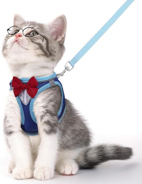 Cat Vest Harness and Leash Set, Escape Proof Kitten Harness Blue M