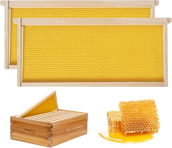 Bee Hive Frames And Wax Foundations 2Pcs 19.02X9.13X0.79 Inch. Square Bee Frames With Wax Wood Beehive Yellow