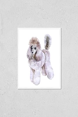 Watercolor closeup portrait of beautiful King Poodle breed dog isolated on white background. Dog with hair cut posing on dog show. Hand drawn sweet home pet. Greeting card design clip art illustration