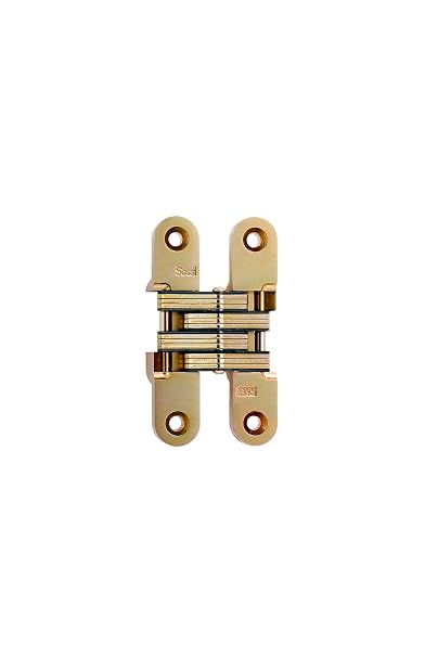 Hinge, Invisible, Satin Brass, 3 3/4 in