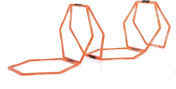 Sveltus Training Ladder