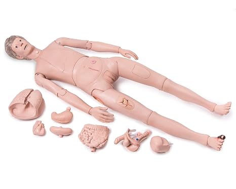 3B Scientific 1018816 P10/1 Patient Care Manikin PRO