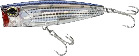 Yo-Zuri 3D Coastal Popper