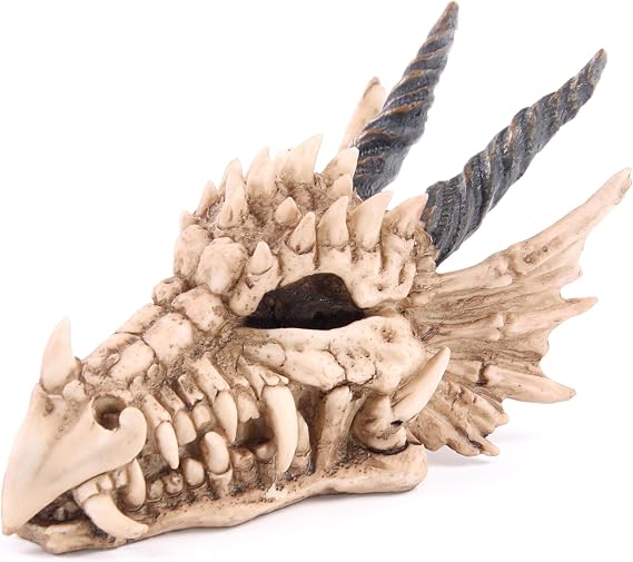 Puckator DRG186 Dragon Skull Money Box 19 x 11 x 11 cm