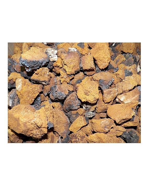 Dried USA Grown Chaga Mushrooms