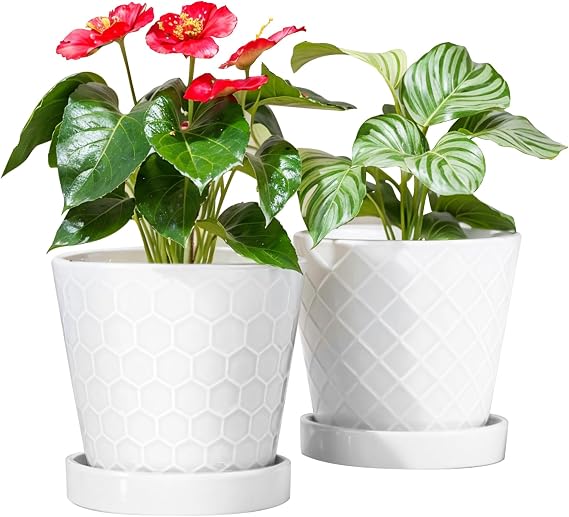 BUYMAX 6 Inch Plant Pot Ceramic Flower Pots Set of 2 with Drainage Hole