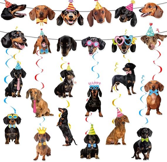 Dachshund Party Decorations Dachshund Birthday Party Supplies Includes Dachshund Banner Dachshund Hanging Swirls for Dachshund Hanging Decorations