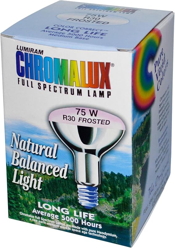 75 Watt Frosted Reflector Floodlights - 1 Bulb