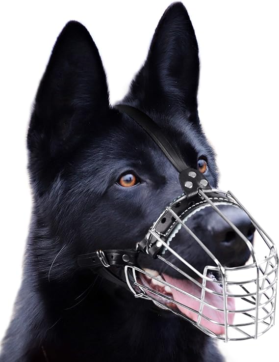 Dog Chrome Metal Muzzles Wire Basket Adjustable Leather Straps German Shepherd Reinforced (No1) Snout Circumference is 11. - 12.6 in Length is 4.3-4.7 in
