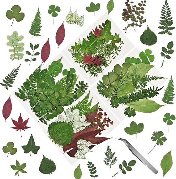 Natural Dried Pressed Flowers Leaves 84PCS 28 Styles for Resin DIY Crafts