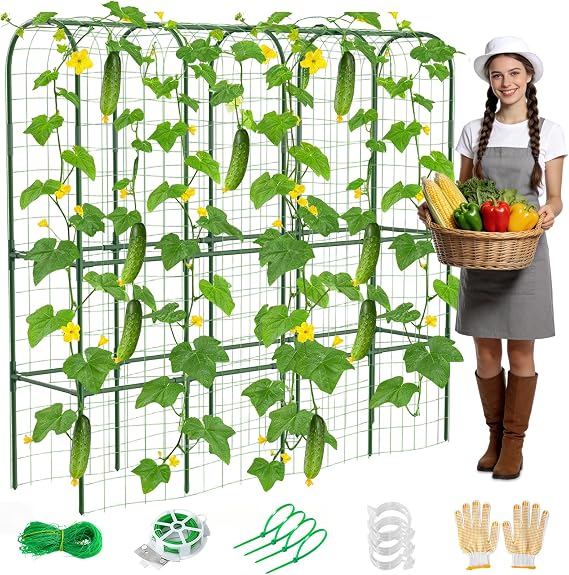 62in Tall Cucumber Trellis for Raised Bed, 68" L x 62" H Metal Garden Trellis for Climbing Plants Outdoor, U-Shape Vegetables Trellis Support for Squash Zucchini Peas Grape