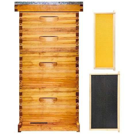 10 Frame Langstroth Bee Hive Beeswax Coated Includes Beehive Frames and Foundations 2 Deep Boxes & 2 Medium Boxes