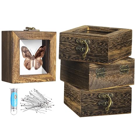 Reallnaive 4 Pcs Insect Pinning Kit 4 inch Wooden Display Case Box, EVA Foam Insect Pinning Board, 100 Bug Pins for Butterfly Specimen Bugs Collection Tools(Carbonized Brown)