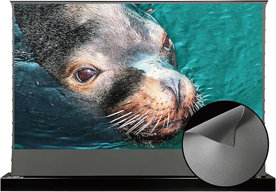 Vivid Storm Since 2004-Long Focus Ambient Light Rejecting Screen,Motorized Floor Rising Projection Screen,Compatible with Lumen up to 2500ANSI of Normally Projector,VSDSTALR100H