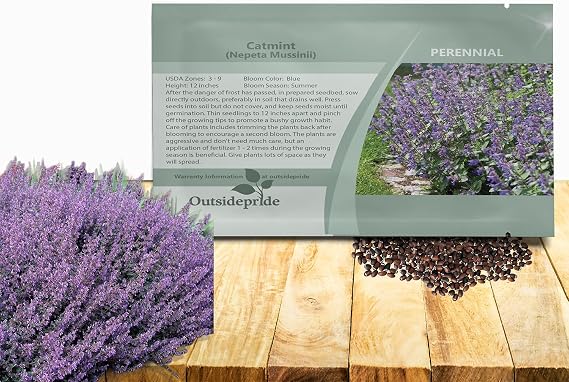 Outsidepride Nepeta Mussinii Catmint Seeds - 1000 Seeds Perennial, Heat & Drought Tolerant Flower Seeds for Planting Fragrant Blue Blooms, Alternative Fresh Catnip for Cats and Attracts Pollinators