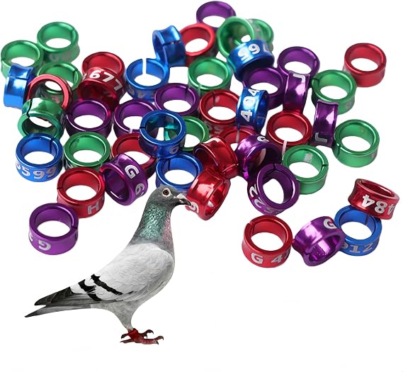 Open Bird Ring, Pack of 50 Bird Foot Ring, Bird Leg Bands Rings, for Birds, Parrots, Pigeons, Quails, Chicks, Inner Diameter Approx. 6 mm (Mixed Colours)