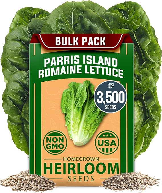 HOME GROWN Parris Island Romaine Lettuce Seeds 3,500+ Heirloom Non GMO, High Germination, Crisp Heads, Indoor Outdoor Hydroponic Garden, Crunchy Cos Lettuce, Slow to Bolt,Vitamin Rich (Lactuca sativa)