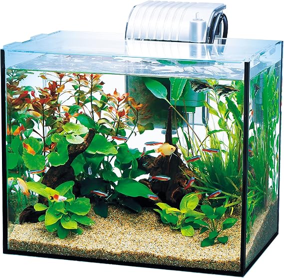 Tetra Glass Aquarium, All Glass Aquarium, GA-300F, Aquarium, Tropical Fish, Meadaka, Goldfish