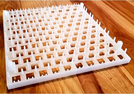 Quail Egg Trays (6 pack)
