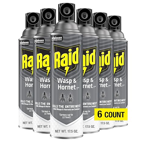 Raid Wasp and Hornet Killer Multi-Packs 17.5 Ounce (Pack of 6)