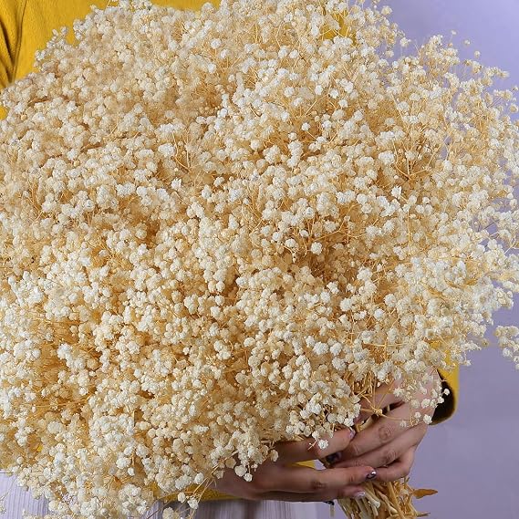 9000+ Large Dried Babys Breath Flowers Bouquet, 7.1 oz Cream White Flowers | Package Bulk Natural Baby Breath Flowers Branches for Wedding, Floral Arrangement, Vase Decor