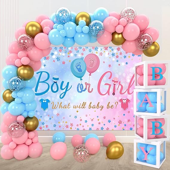 Frigg Pink Blue Gender Reveal Decorations