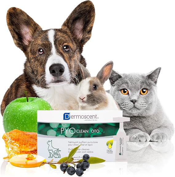 Dermoscent Pyoclean OTO Dog Ear Cleaner - Drops to Stop Head Shaking, Itchy & Waxy Ears - Non-Toxic - Ear Cleaning Solution for Dogs