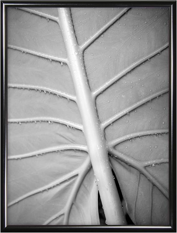 MCS 24x36 Inch Gallery Aluminum Poster Frame, Black (44463)