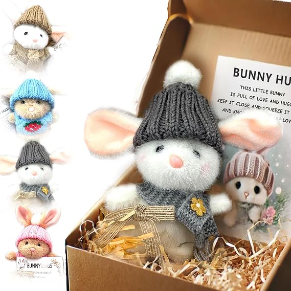 Mini Bunny Hug Cute Easter Gift, Bunny Stuffed Animal Sets with Inspirational Card Desk Decor, Teacher Students Party and Valentine's Day Easter Gifts (STYLE-B)