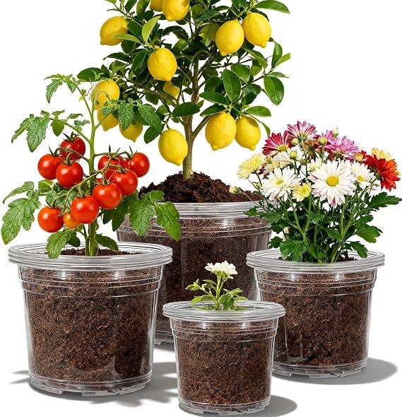 12 Pack 4/6/8/10 Inch Clear Nursery Pots for Plants, Large Size Nursery Pot