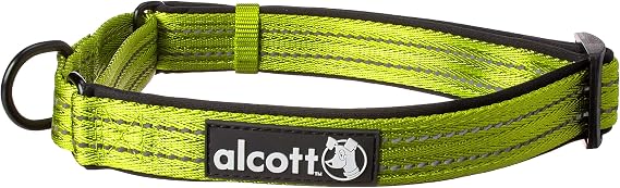 alcott Martingale Collar with Reflective Stitching & Neoprene Padding, Large, Green