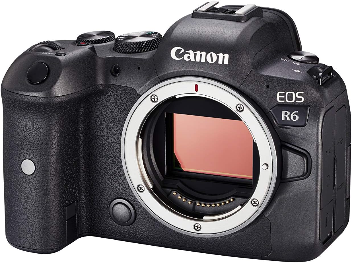 Canon EOS R6 Mark II  24-105mm F4 L IS USM Lens Kit