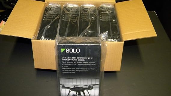 Solo Smart Battery