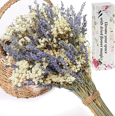 Dried Lavender and Babys Breath Flowers Bouquet, 2 Dried Bouquets, Natural Dried Flowers, Suitable for vase Filling, Decoration Gifts, Home, Wedding, Photography, Flower Arrangement, DIY