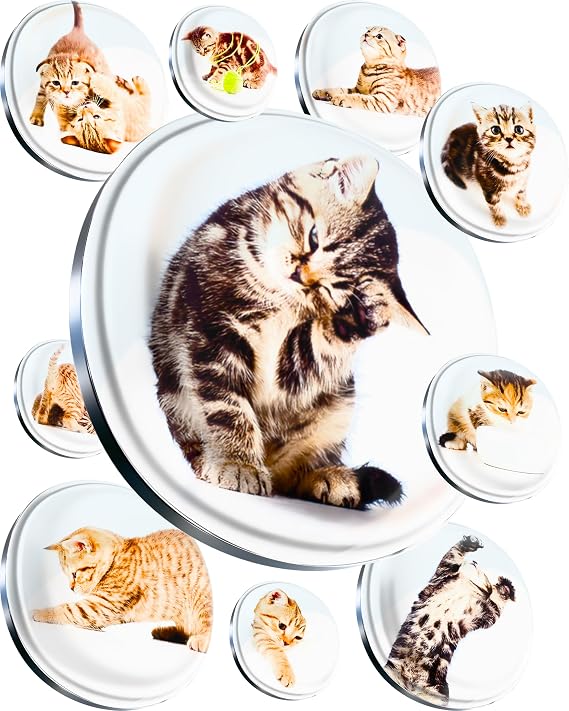 Super Cute Glass Fridge Magnets, Funny Cats, 12 pcs | Decorative Refrigerator & Locker Magnets, Strong Grip, Great for Photos, Notes, Whiteboard, Office & School